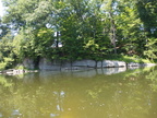 IMG 4253